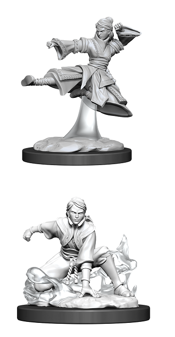 DND unpainted Minis  Female Human Monk - Universal Distribution - Card Brawlers | Quebec | Canada |