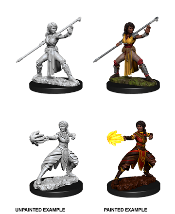DND Unpainted Minis Female Half-Elf Monk - Universal Distribution - Card Brawlers | Quebec | Canada |