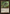 Serrated Biskelion [The List] - Card Brawlers