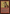 Shivan Raptor [The List] - Card Brawlers