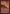 Shower of Coals [The List] - Card Brawlers