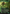 Spinner of Souls (Borderless) [Foundations] - Card Brawlers