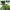 Green Stuff World - Grass Flock - Spring Grass - Green Stuff World - Card Brawlers | Quebec | Canada |