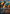 Steam Vents (Borderless) [Lorwyn Eclipsed] - Card Brawlers