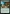 Time to Feed [Foundations Jumpstart] - Card Brawlers