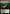 Undergrowth Stadium (Extended Art) [Commander Legends] - Card Brawlers