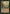 Whip Silk [The List] - Card Brawlers