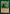 Wirewood Channeler [The List] - Card Brawlers
