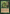Wirewood Guardian [The List] - Card Brawlers