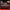 Yu-Gi-Oh! - Beyond the Brave - Friday Premiere! - 2 Oct 2026 - Card Brawlers