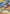 Reshiram & Charizard GX (20/214) (Fire Box - Kaya Lichtleitner) [World Championships 2019] - Card Brawlers | Quebec | Canada | Yu-Gi-Oh!