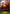 Arthurian Light (BP01-041EN) [Advent of Genesis] - Card Brawlers | Quebec | Canada | Yu-Gi-Oh!