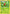 Grovyle (18/30) [XY: Trainer Kit 2 - Latias] - Card Brawlers | Quebec | Canada | Yu-Gi-Oh!