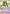 Unown C (67/130) [Diamond & Pearl: Base Set] - Card Brawlers | Quebec | Canada | Yu-Gi-Oh!