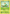 Snivy (2/114) [Black & White: Base Set] - Card Brawlers | Quebec | Canada | Yu-Gi-Oh!