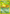 Chikorita (54/111) [Neo Genesis 1st Edition] - Card Brawlers | Quebec | Canada | Yu-Gi-Oh!