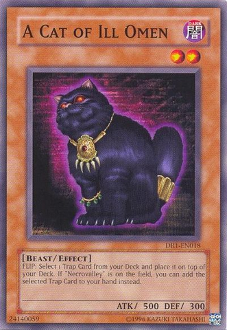 A Cat of Ill Omen [DR1-EN018] Common - Card Brawlers | Quebec | Canada | Yu-Gi-Oh!