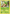 Chespin (9/162) [XY: BREAKthrough] - Card Brawlers | Quebec | Canada | Yu-Gi-Oh!