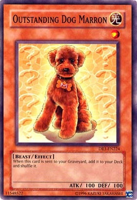 Outstanding Dog Marron [DR1-EN224] Common - Card Brawlers | Quebec | Canada | Yu-Gi-Oh!