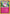 Wigglytuff (30/30) [XY: Trainer Kit 1 - Wigglytuff] - Card Brawlers | Quebec | Canada | Yu-Gi-Oh!