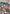 Pokemon Ranger (113/114) [XY: Steam Siege] - Card Brawlers | Quebec | Canada | Yu-Gi-Oh!