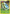 Sceptile (9/160) [XY: Primal Clash] - Card Brawlers | Quebec | Canada | Yu-Gi-Oh!