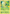 Snivy (5/25) [McDonald's 25th Anniversary] - Card Brawlers | Quebec | Canada | Yu-Gi-Oh!