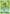 Caterpie (3/108) [XY: Evolutions] - Card Brawlers | Quebec | Canada | Yu-Gi-Oh!