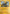 Manectric (22/30) [XY: Trainer Kit 3 - Pikachu Libre] - Card Brawlers | Quebec | Canada | Yu-Gi-Oh!