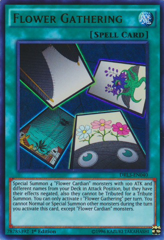 Flower Gathering [DRL3-EN040] Ultra Rare - Yu-Gi-Oh! - Card Brawlers | Quebec | Canada |