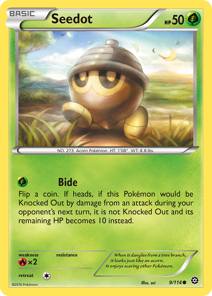 Seedot (9/114) [XY: Steam Siege] - Card Brawlers | Quebec | Canada | Yu-Gi-Oh!
