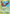 Wurmple (2/5) [Kids WB Promos] - Card Brawlers | Quebec | Canada | Yu-Gi-Oh!