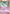 Ralts (61/106) [EX: Emerald] - Card Brawlers | Quebec | Canada | Yu-Gi-Oh!