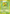 Caterpie (56/112) [EX: FireRed & LeafGreen] - Card Brawlers | Quebec | Canada | Yu-Gi-Oh!