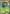 Venusaur EX (1/83) [XY: Generations] - Card Brawlers | Quebec | Canada | Yu-Gi-Oh!