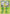Bayleef (2/122) (League Promo) [XY: BREAKpoint] - Card Brawlers | Quebec | Canada | Yu-Gi-Oh!
