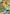 Raichu GX (SM213) [Sun & Moon: Black Star Promos] - Card Brawlers | Quebec | Canada | Yu-Gi-Oh!