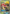 Shuckle GX (17/214) [Sun & Moon: Lost Thunder] - Card Brawlers | Quebec | Canada | Yu-Gi-Oh!