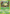 Leafeon (7/100) [Diamond & Pearl: Majestic Dawn] - Card Brawlers | Quebec | Canada | Yu-Gi-Oh!