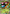M Venusaur EX (2/146) [XY: Base Set] - Card Brawlers | Quebec | Canada | Yu-Gi-Oh!