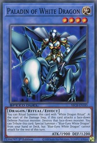 Paladin of White Dragon [SBCB-EN185] Common - Card Brawlers | Quebec | Canada | Yu-Gi-Oh!