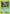 Pinsir (9/64) [Jungle Unlimited] - Card Brawlers | Quebec | Canada | Yu-Gi-Oh!