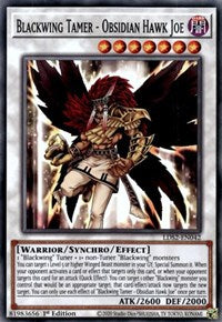 Blackwing Tamer - Obsidian Hawk Joe [LDS2-EN042] Common - Card Brawlers | Quebec | Canada | Yu-Gi-Oh!