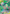 Rowlet & Alolan Exeggutor GX (214/236) [Sun & Moon: Unified Minds] - Card Brawlers | Quebec | Canada | Yu-Gi-Oh!