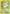 Beedrill (17/102) [Base Set Unlimited] - Card Brawlers | Quebec | Canada | Yu-Gi-Oh!