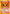 Moltres (30/110) [Legendary Collection] - Card Brawlers | Quebec | Canada | Yu-Gi-Oh!