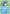 Sobble (24/25) [McDonald's 25th Anniversary] - Card Brawlers | Quebec | Canada | Yu-Gi-Oh!