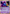 Cresselia (DP51) [Diamond & Pearl: Black Star Promos] - Card Brawlers | Quebec | Canada | Yu-Gi-Oh!