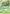 Grovyle (004) [Nintendo: Black Star Promos] - Card Brawlers | Quebec | Canada | Yu-Gi-Oh!