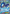 Kyogre EX (54/160) [XY: Primal Clash] - Card Brawlers | Quebec | Canada | Yu-Gi-Oh!